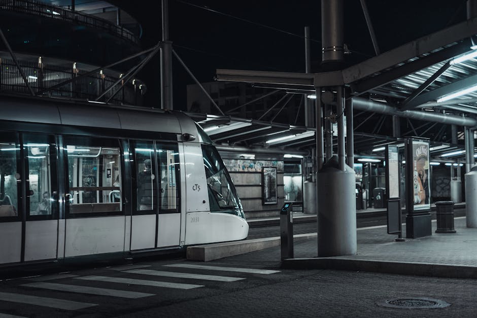 Trams bus et train comprendre Padoue travel tourism landmark